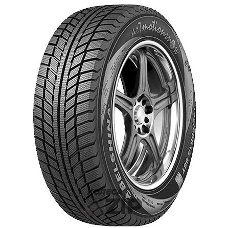 Шины Белшина Бел-317 205/55 R16 91T 